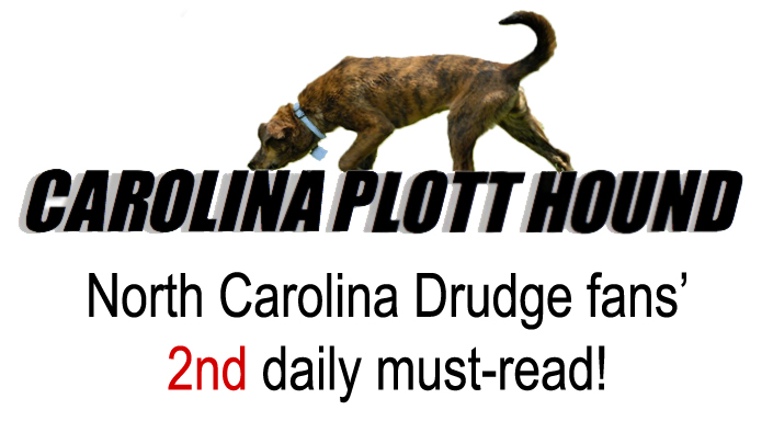 Carolina Potthound