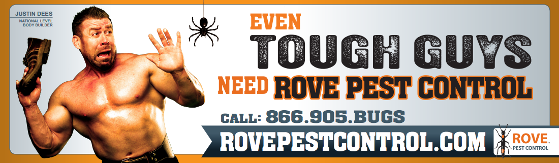 Rove Pest Control Services for Ants, Spiders, Mice and More Rove Pest Control Services for Ants, Spiders, Mice and More